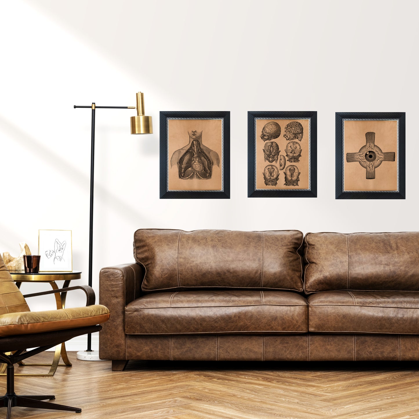 Brain poster Anatomical decor