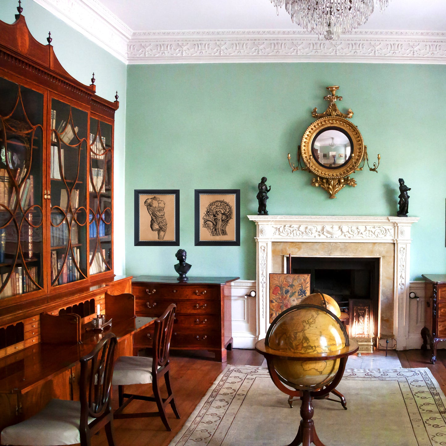 Human brain diagram poster Anatomy print