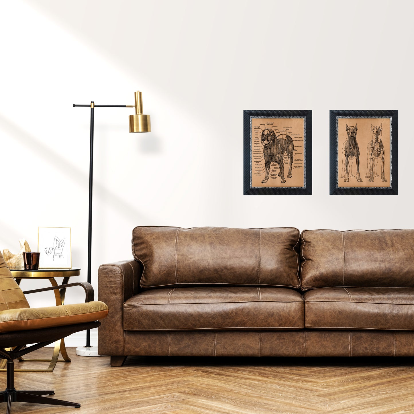 Dog anatomy print Anatomical poster