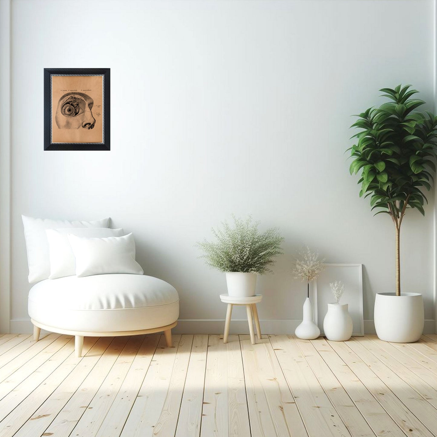 Eye anatomy print Medical poster