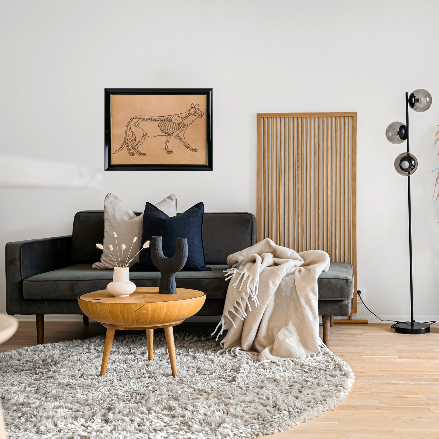 Feline anatomy print Skeleton poster