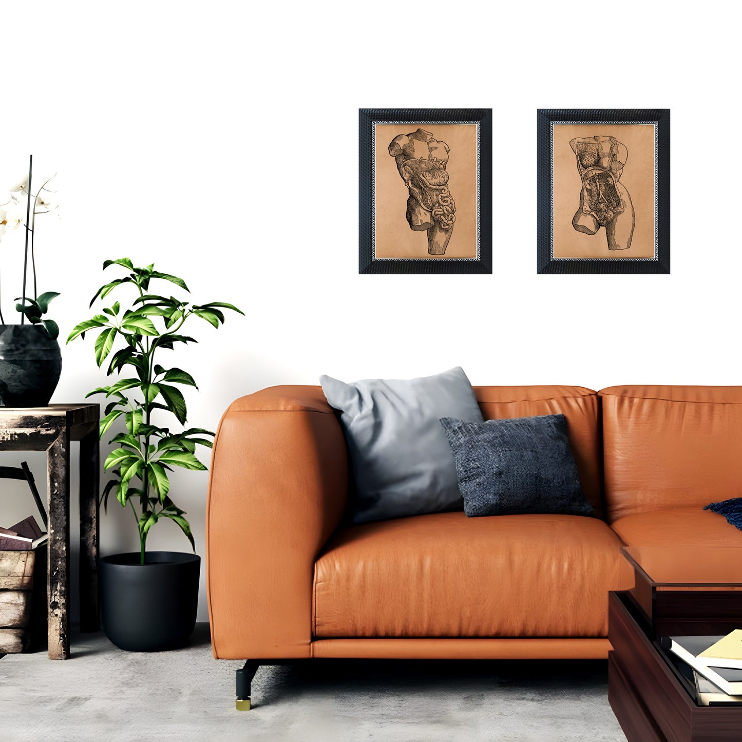 Female body anatomy print Vintage