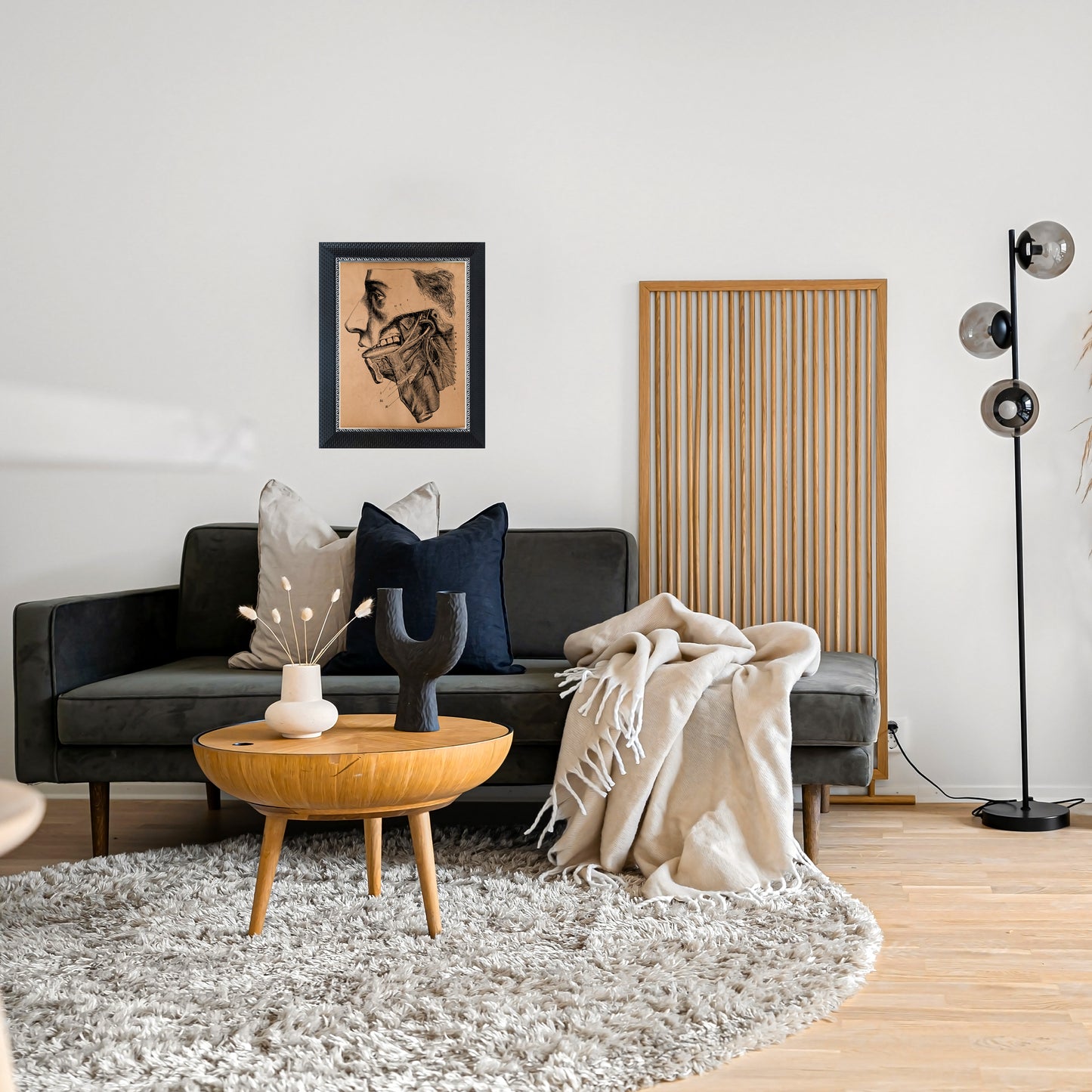 Head anatomical print Vintage anatomy