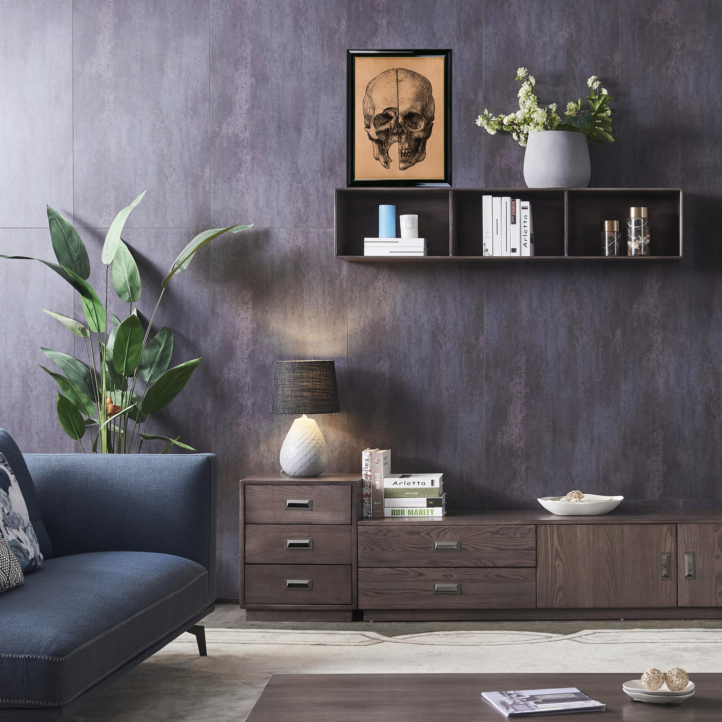 Vintage human skull print Anatomy illustration