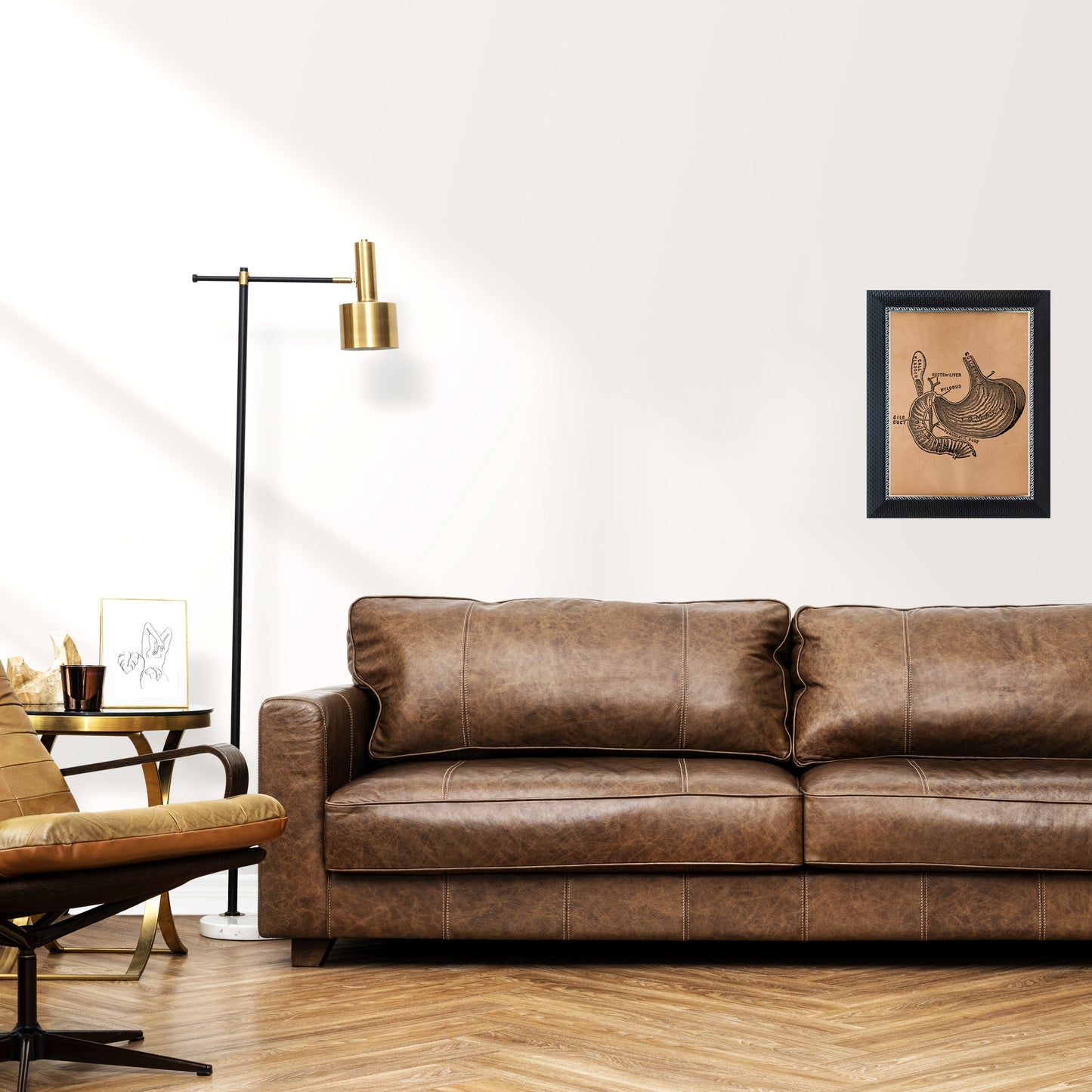 Stomach anatomy print Anatomical poster