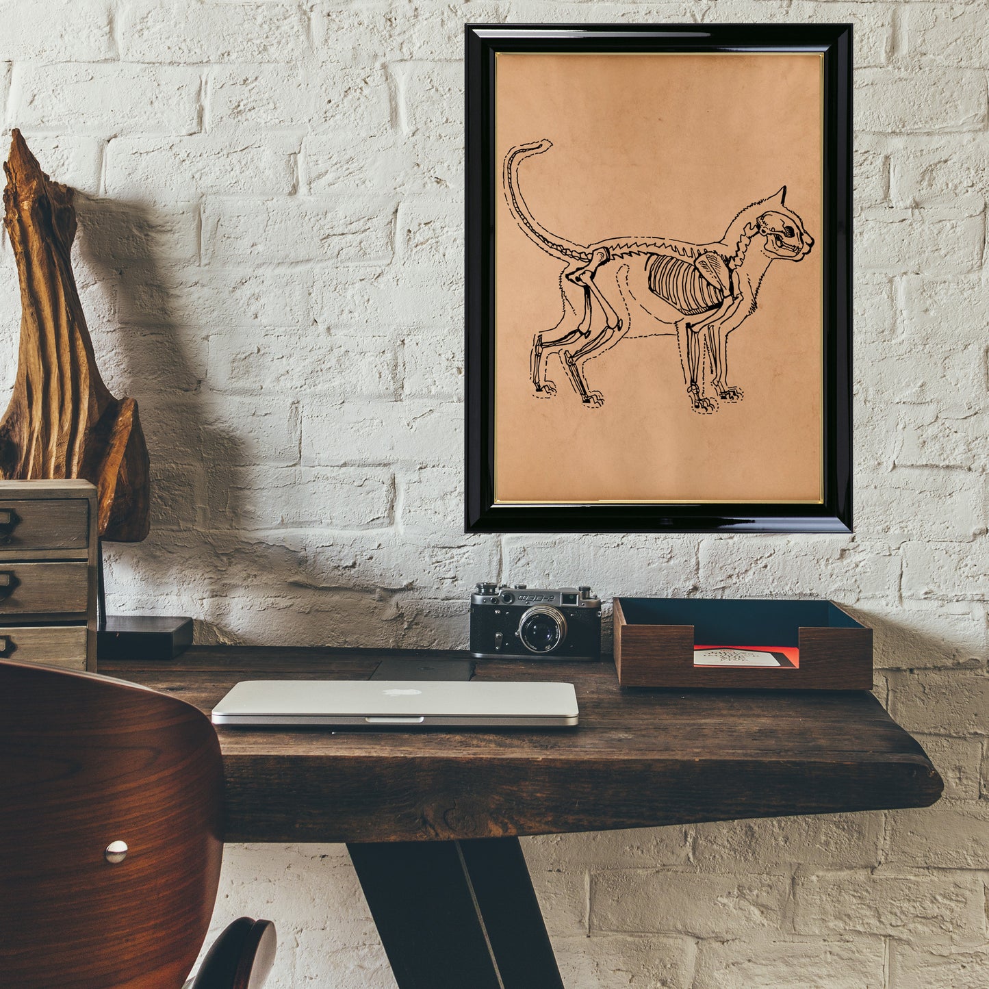 Anatomical cat print Skeleton poster