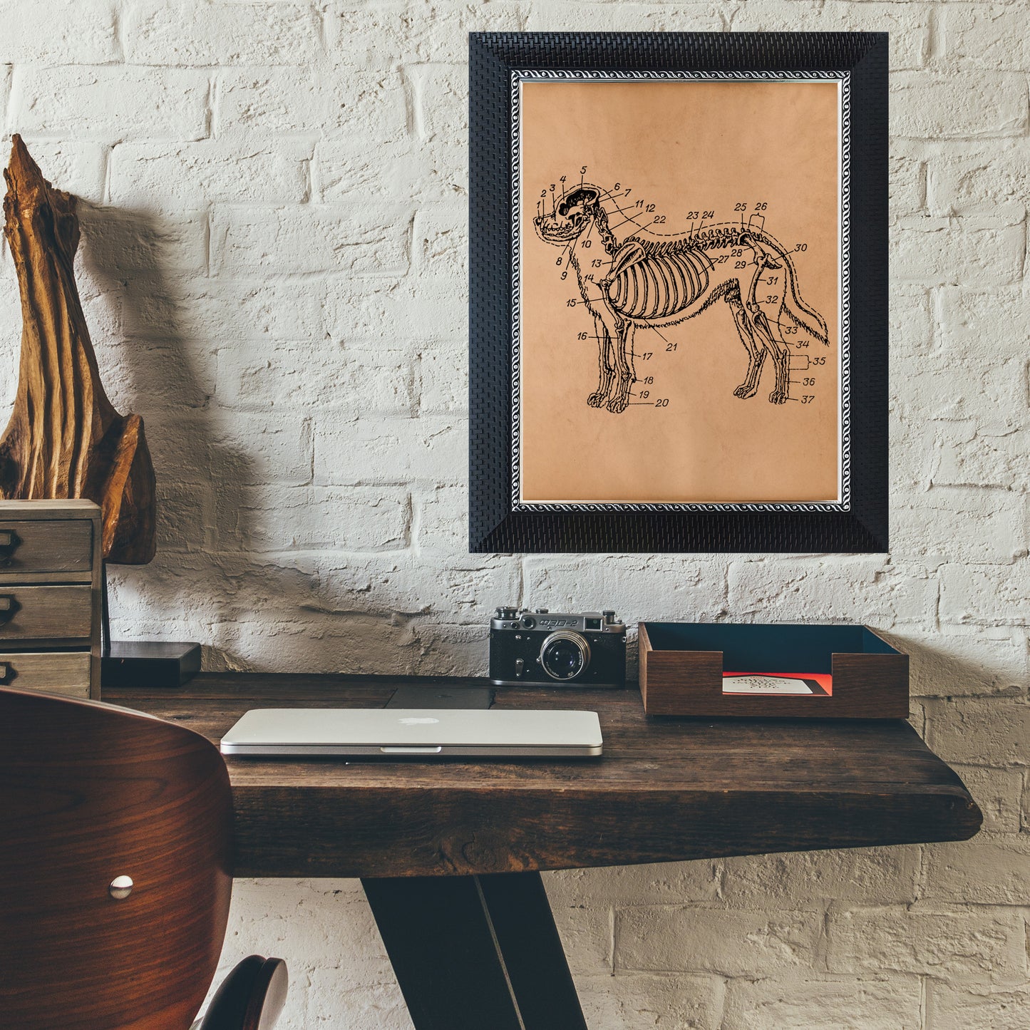 Anatomical dog skeleton print