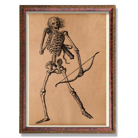 Archer skeleton print Antique anatomy poster