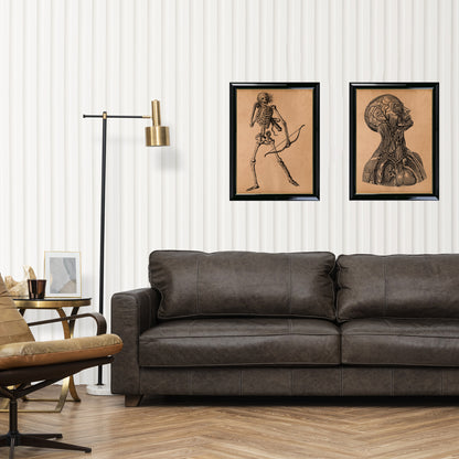 Archer skeleton print Antique anatomy poster