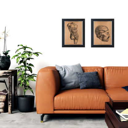 Body anatomy print Anatomical poster