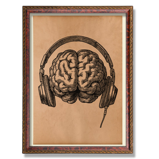 Headphones brain anatomy print