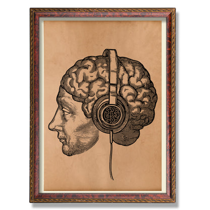 Headphones Brain art Vintage anatomy print