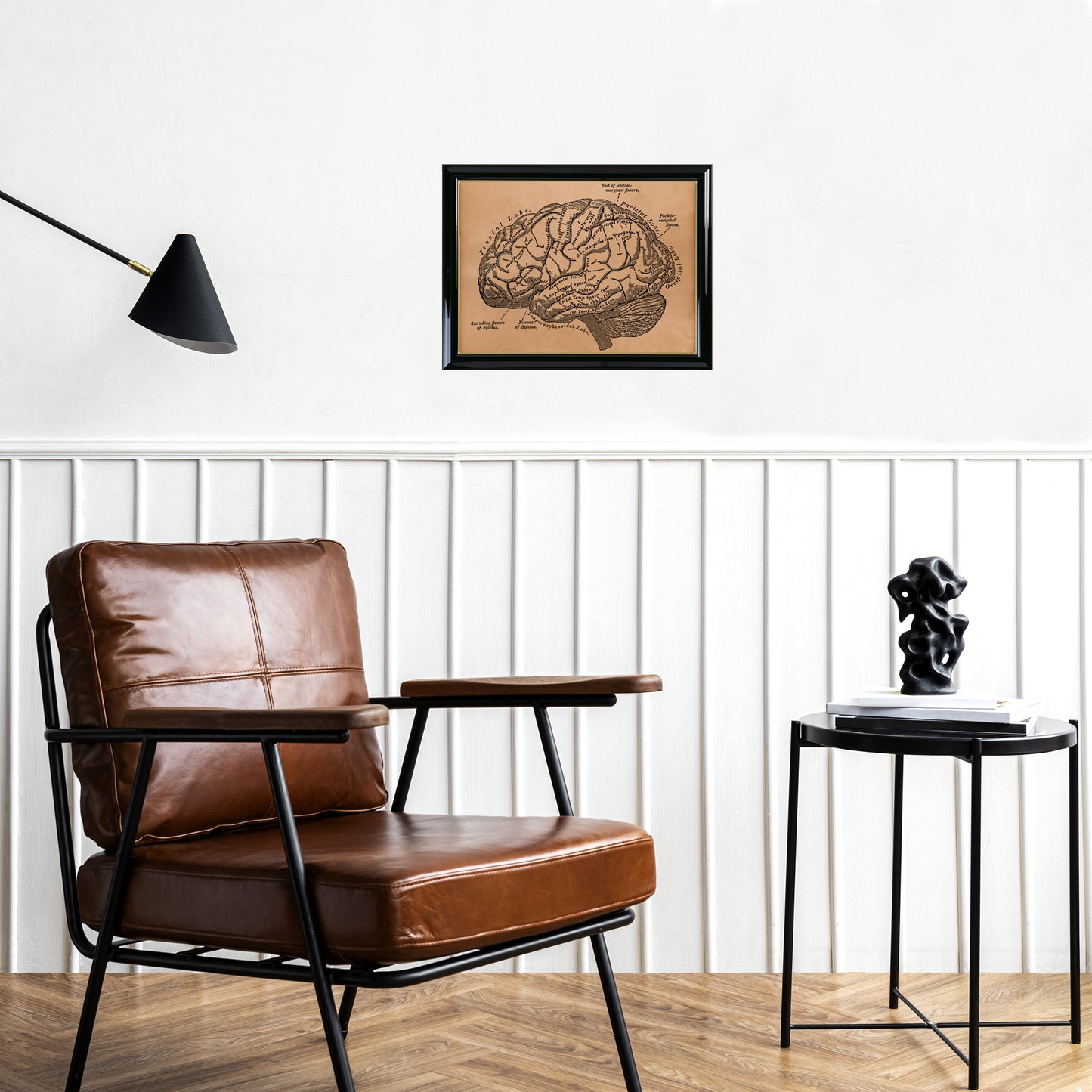 Brain artwork Anatomy print