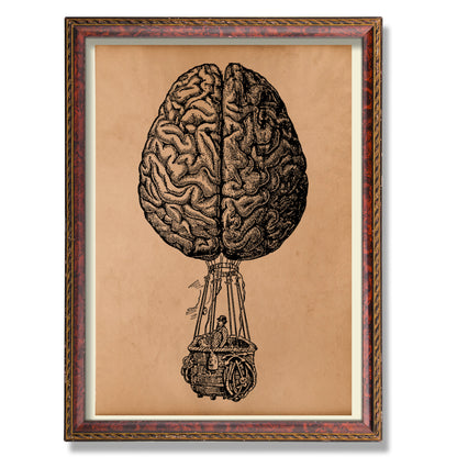 Brain balloon print Vintage anatomy art