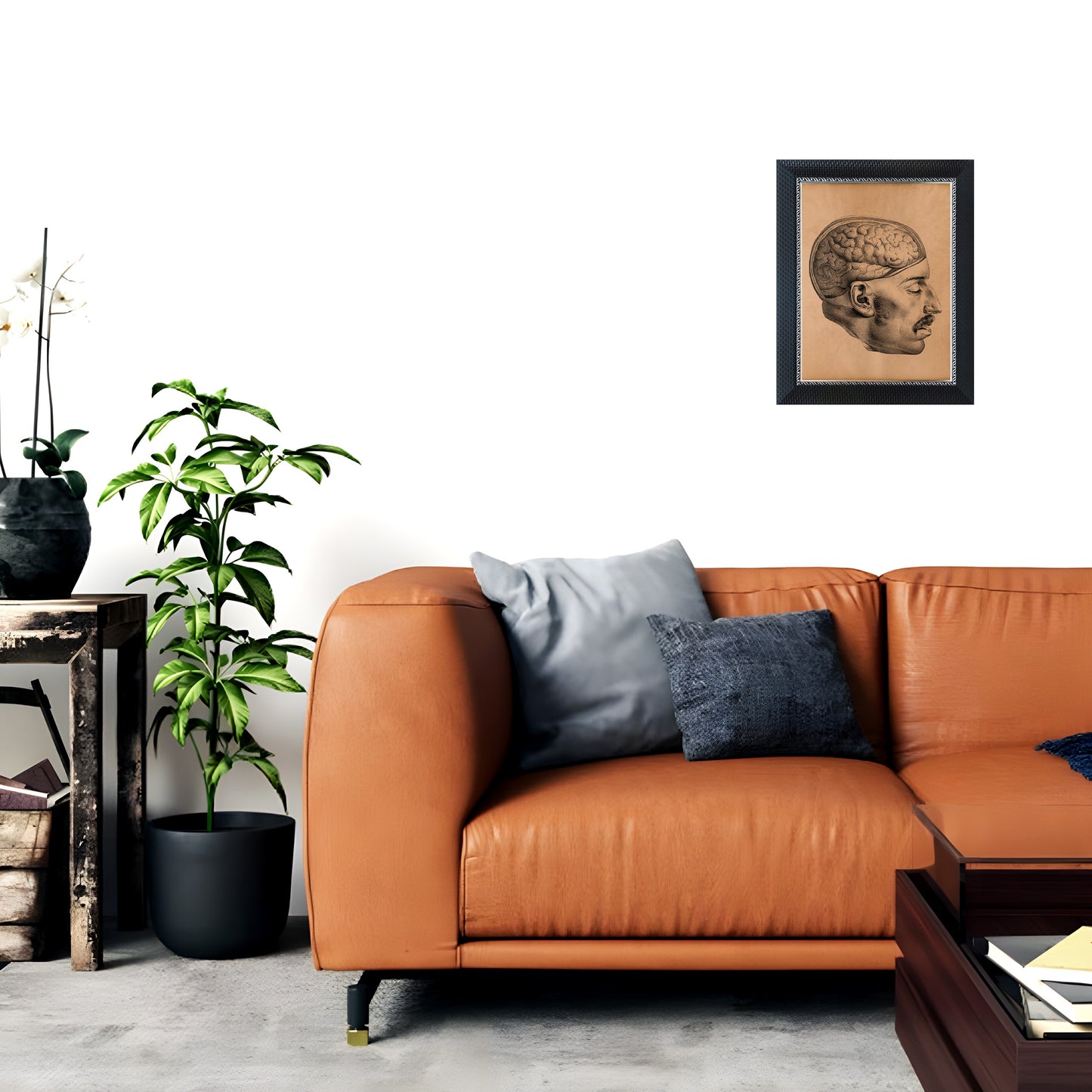 Brain wall art Vintage anatomy