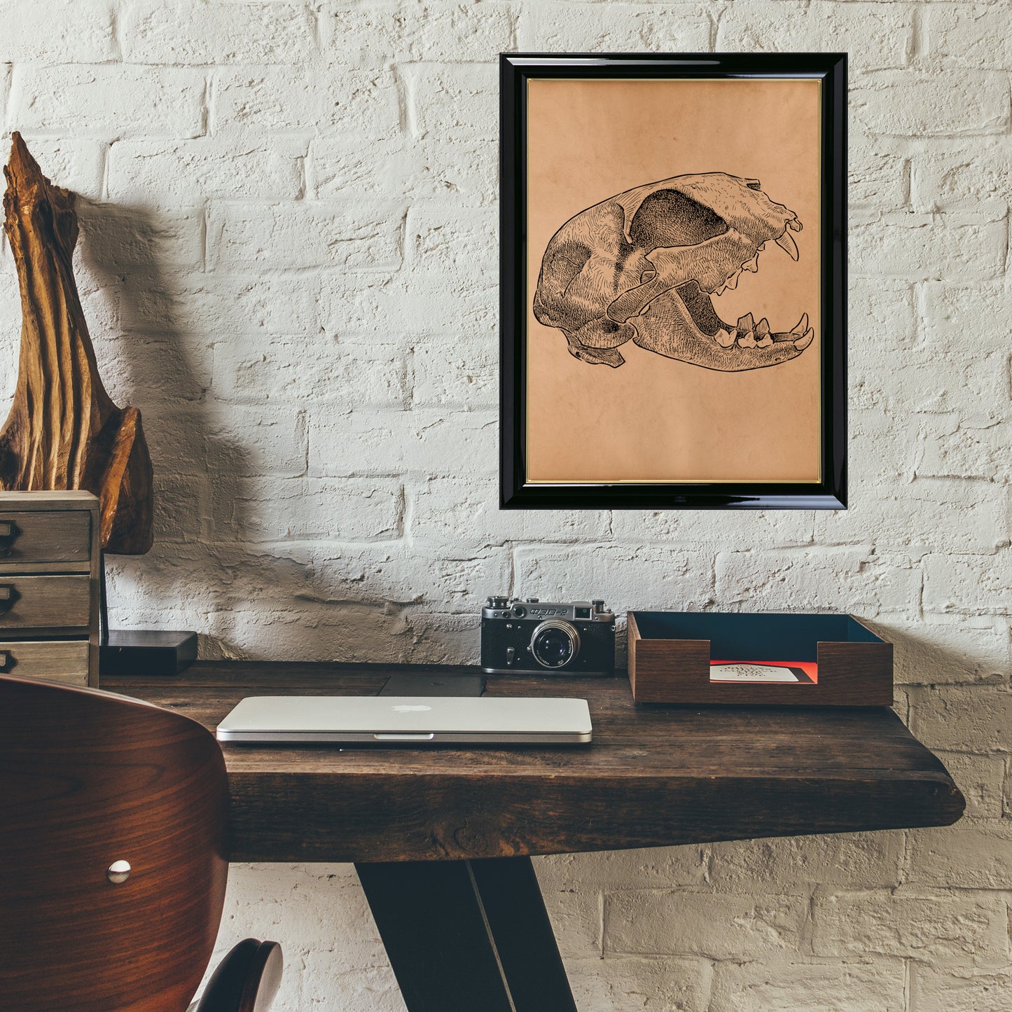 Cat skull print Vintage anatomy poster