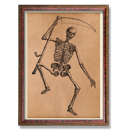 Reaper skeleton poster Vintage anatomy print