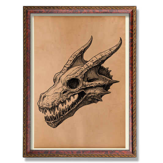 Dragon skull art Anatomy poster