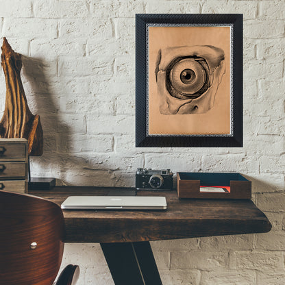 Eye diagram print Anatomy poster