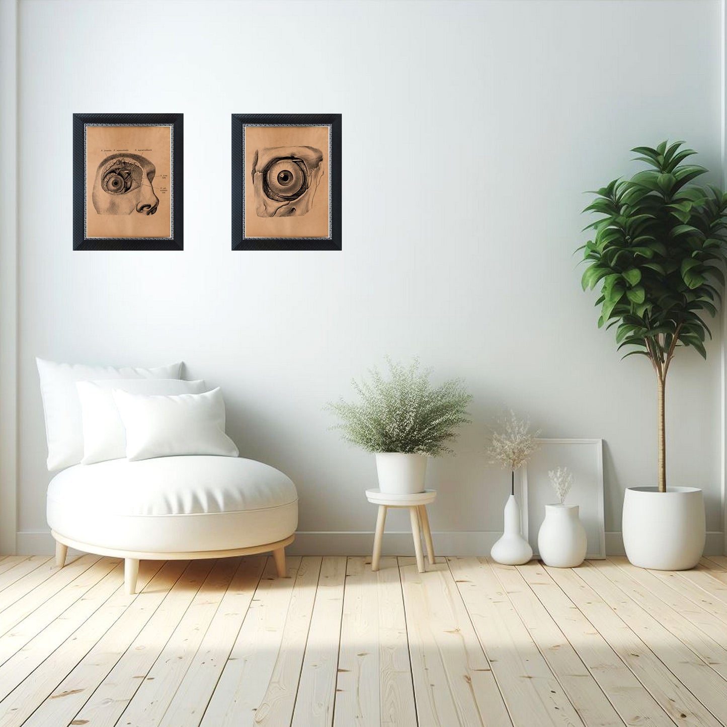 Eye diagram print Anatomy poster