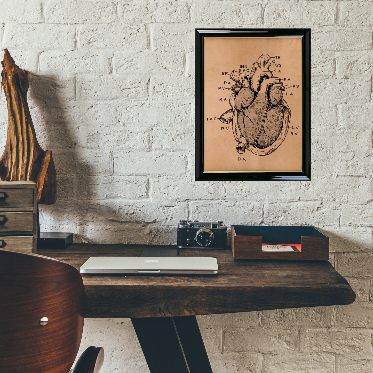 Anatomical heart poster Anatomy decor