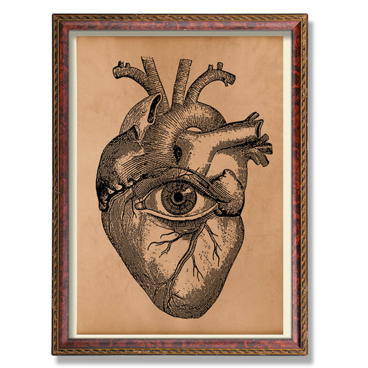 Heart wall art Vintage anatomy print