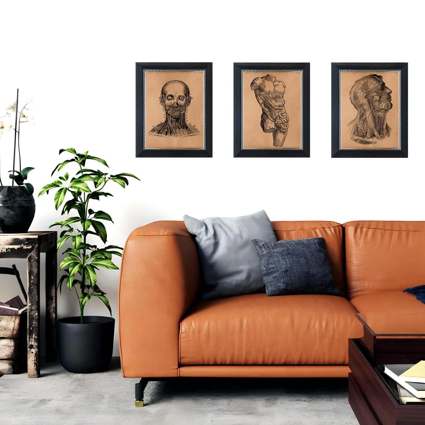 Human head anatomy print Anatomical decor