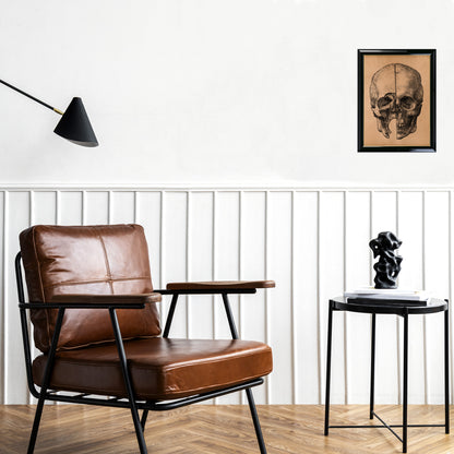 Vintage human skull print Anatomy illustration