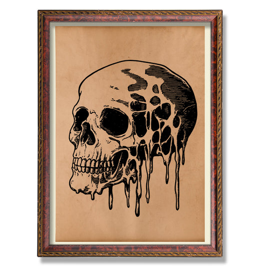 Skull poster Vintage Anatomical print