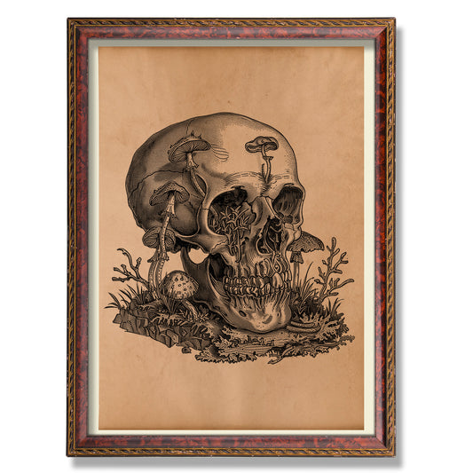 Mushroom skull print Vintage anatomy poster