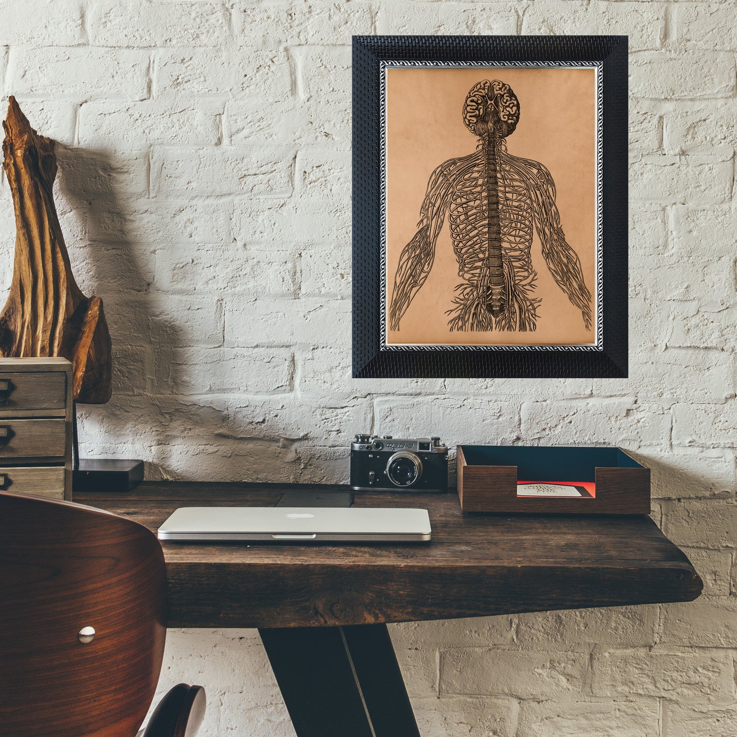 Nervous system anatomy print Brain poster