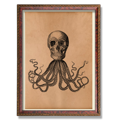 Octopus skull print Vintage anatomy poster