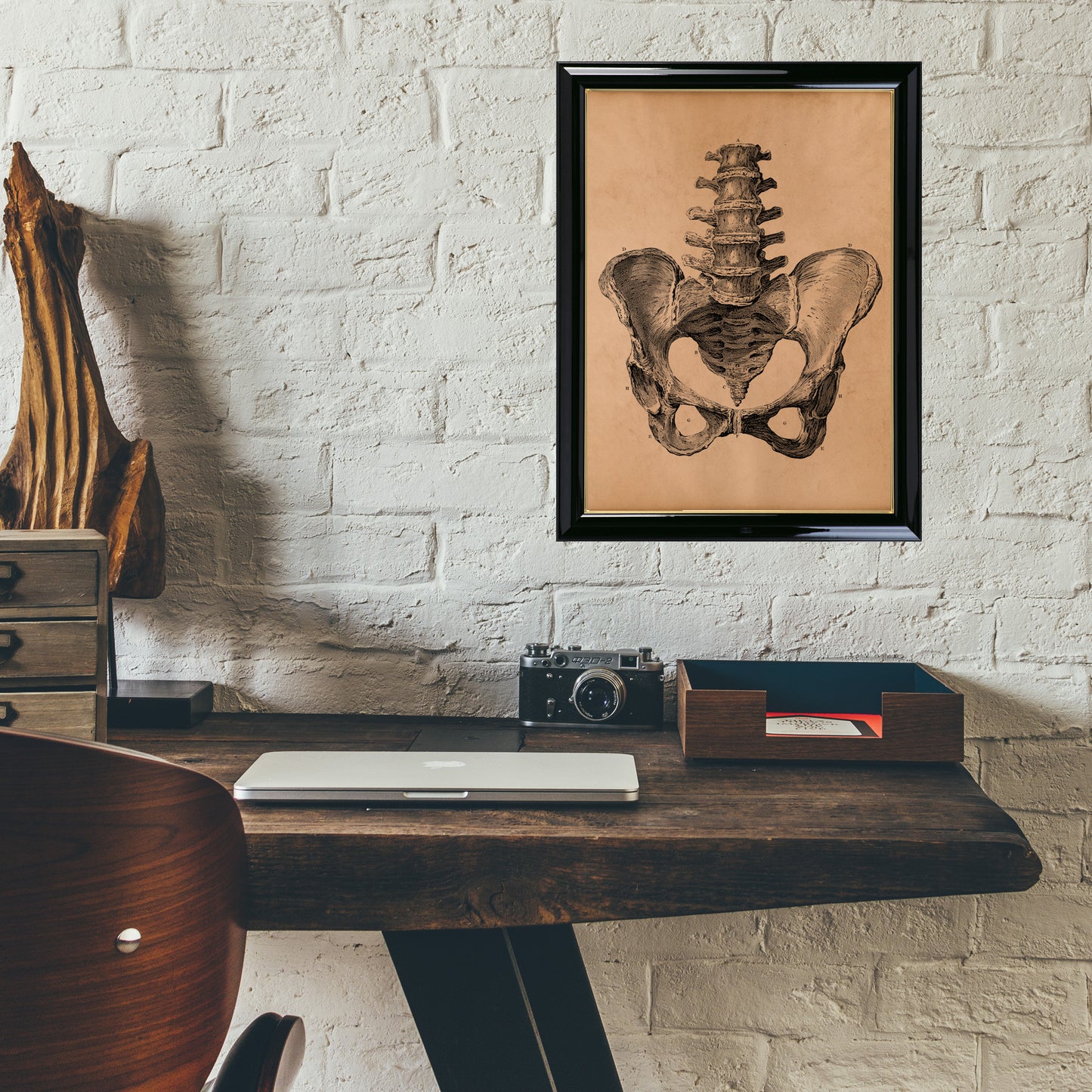 Pelvis anatomy poster Skeleton print