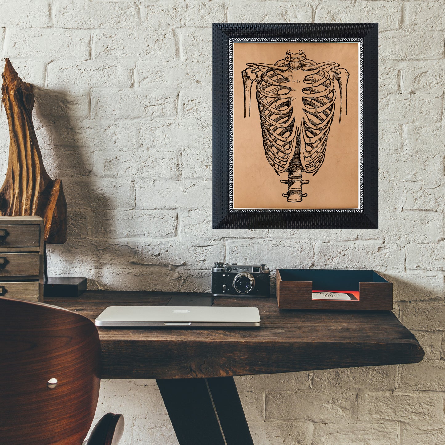 Ribcage anatomy print Skeleton poster