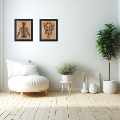 Ribcage anatomy print Skeleton poster