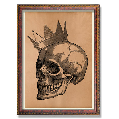 Royal Skull anatomy print Anatomical poster