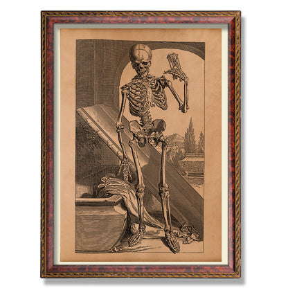 Skeleton anatomy poster Memento mori