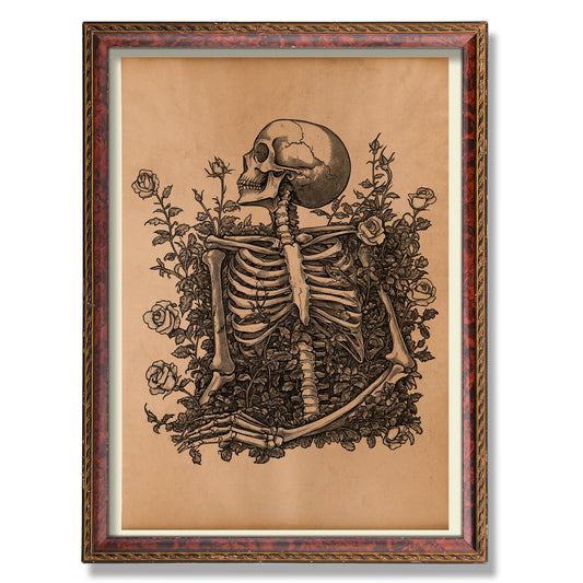 Skeleton print Vintage anatomy poster