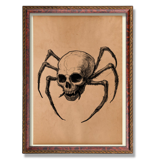 Spider skull decor Vintage anatomy poster