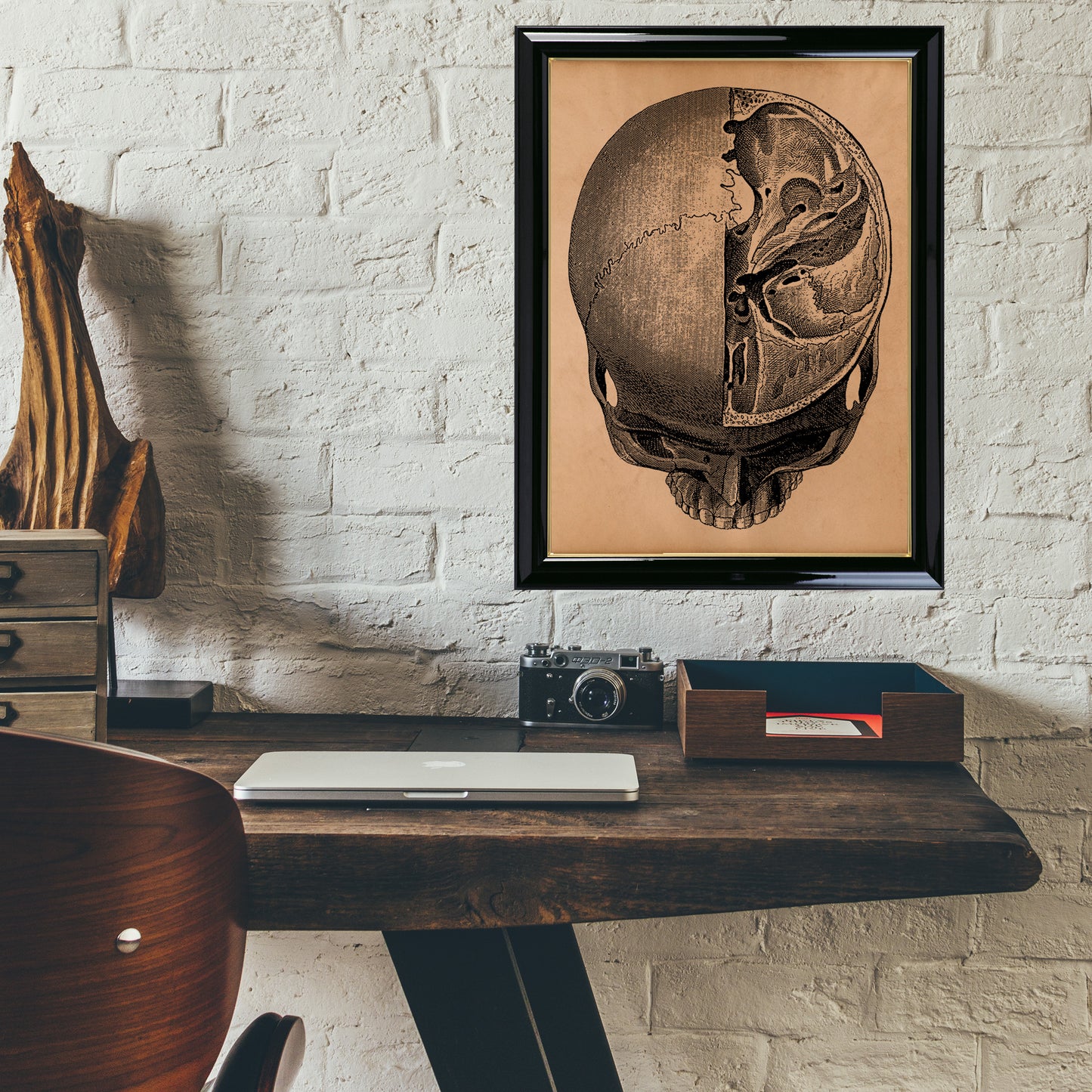 Vintage Skull illustration Anatomy poster