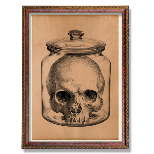 Skull in a jar poster Anatomy print