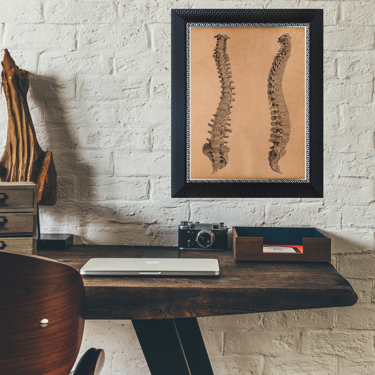 Human spine anatomy print Anatomical poster