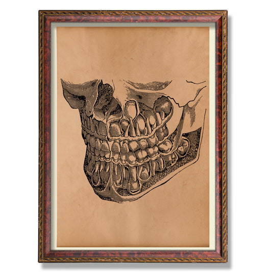 Tooth poster Dental print